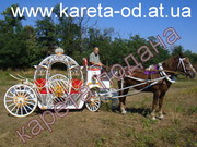 Прокат VIP кареты и лошадей Одесса