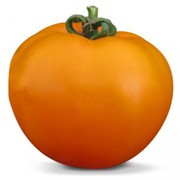Семена оранжевого томата KS 18 F1 (Китано)