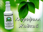 Хлорофилл жидкий NSP (НСП) в Одессе