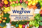 Магазин насіння Wegrow