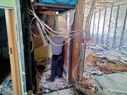 Демонтаж, землянные уборка участка, спил дерева с вывозом мусор Одеса