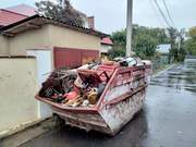 Уборка, планировка участка, спил дерева, , вывоз мусора Одеса