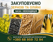 Купуємо зернові,  бобові та олійні культури (база та некондиція)