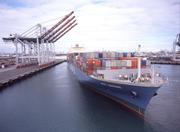 Транспортно-экспедиторское обслуживание и организация морских перевозо